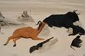 2009_06_06_biscarrosse_ 173